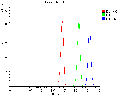 Flow Cytometry analysis of K562 cells using anti-OTUD4 antibody (A07830-2)