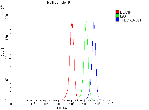 Flow Cytometry analysis of THP-1 cells using anti-TFEC antibody (A07841-3)