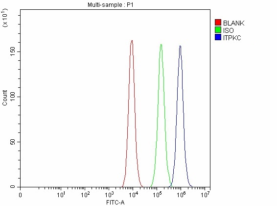  Flow Cytometry analysis of Caco-2 cells using anti-ITPKC antibody (A07845-1)