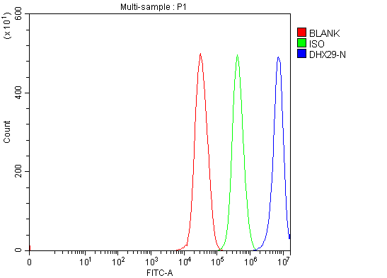  Flow Cytometry analysis of 293T cells using anti-DHX29 antibody (A07866)