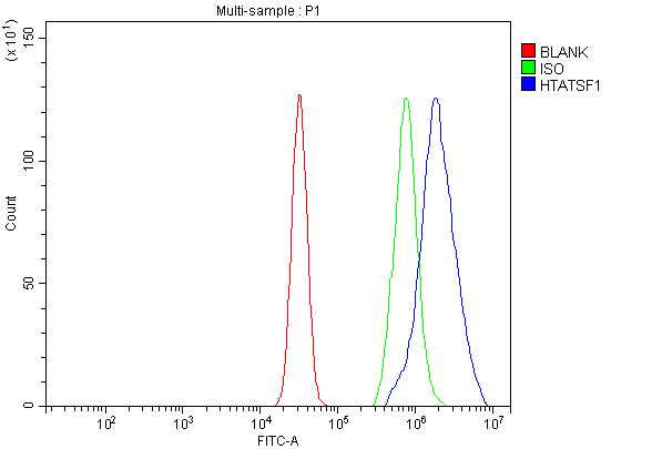 a07890 2 htatsf1 primary antibodies fcm testing 14