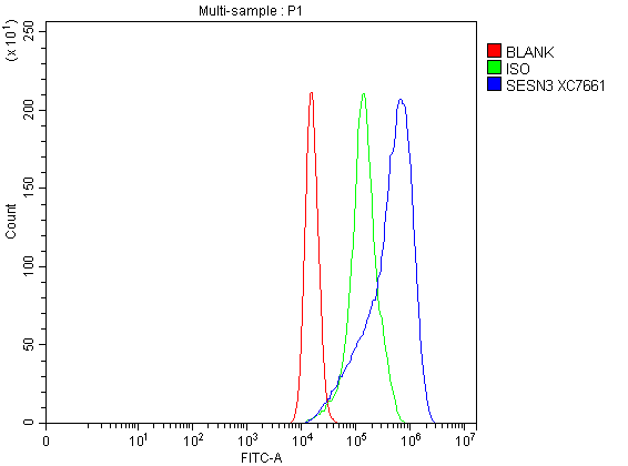 a07894 1 sesn3 primary antibodies fcm testing 1