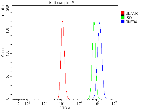 a07903 1 rnf34 primary antibodies fcm testing 9