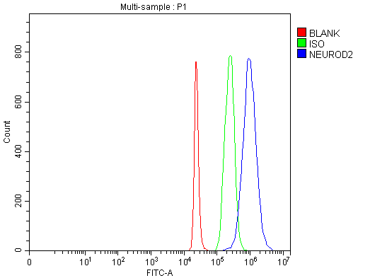  Flow Cytometry analysis of 293T cells using anti-NEUROD2 antibody (A07904-1)