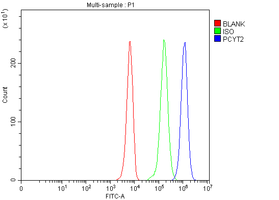 a07910 1 pcyt2 primary antibodies fcm testing 1