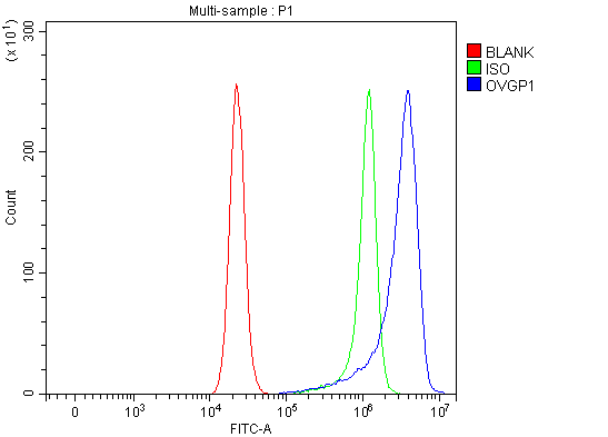  Flow Cytometry analysis of RT4 cells using anti-OVGP1 antibody (A07911-1)