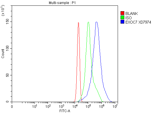 a07926 3 exoc7 primary antibodies fcm testing 1