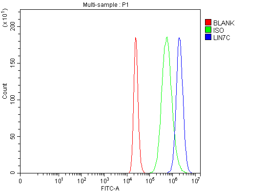 a07929 1 lin7c primary antibodies fcm testing 6