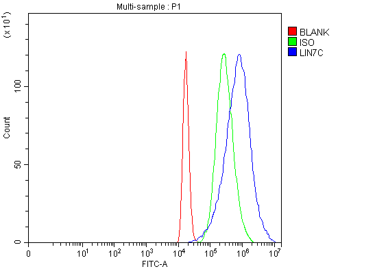 a07929 1 lin7c primary antibodies fcm testing 7