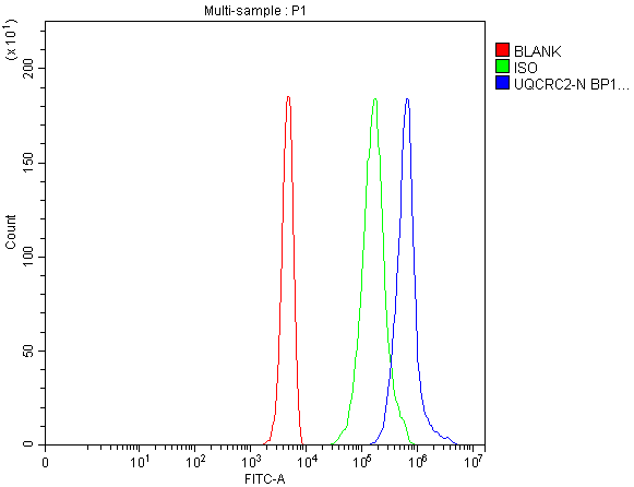 a07937 1 uqcrc2 primary antibodies fcm testing 1