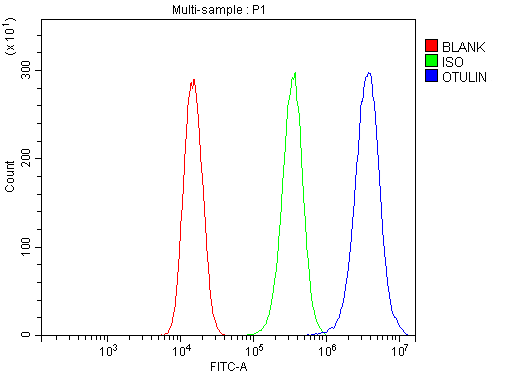 a07938 1 otulin primary antibodies fcm testing 7