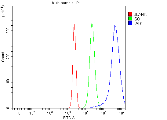  Flow Cytometry analysis of HepG2 cells using anti-LAD1 antibody (A07940)