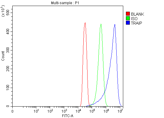  Flow Cytometry analysis of SiHa cells using anti-TRIP/TRAIP antibody (A07953-2)