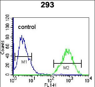 TFAP4 Antibody (Center) (Cat. #A07976) flow cytometric analysis of 293 cells (right histogram) compared to a negative control cell (left histogram). FITC-conjugated goat-anti-rabbit secondary antibodies were used for the analysis.