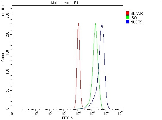  Flow Cytometry analysis of A431 cells using anti-NUDT9 antibody (A07995)