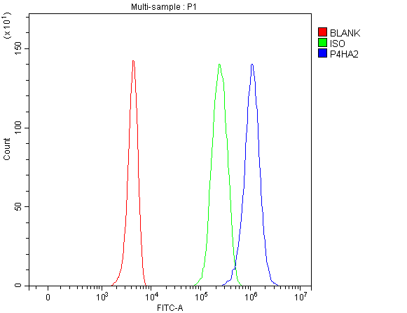 Flow Cytometry analysis of 293T cells using anti-P4HA2 antibody (A08015-1)