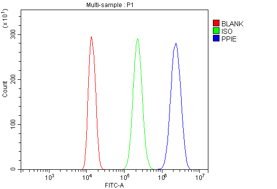 a08021 1 ppie primary antibodies fcm testing 4