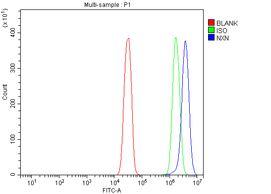 a08028 1 nxn primary antibodies fcm testing 5