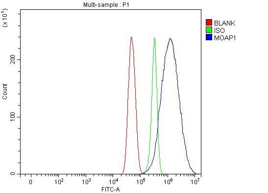 a08043 1 moap1 primary antibodies fcm testing 4