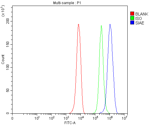 a08046 siae primary antibodies fcm testing 1