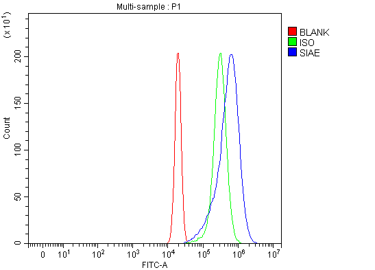 a08046 siae primary antibodies fcm testing 2