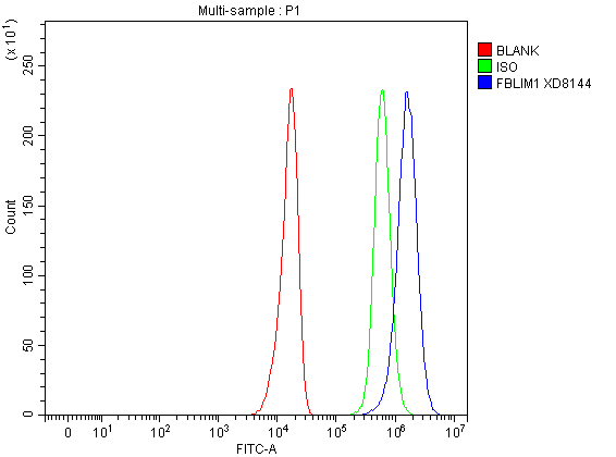 Flow Cytometry analysis of U251 cells using anti-FBLIM1 antibody (A08050-1)
