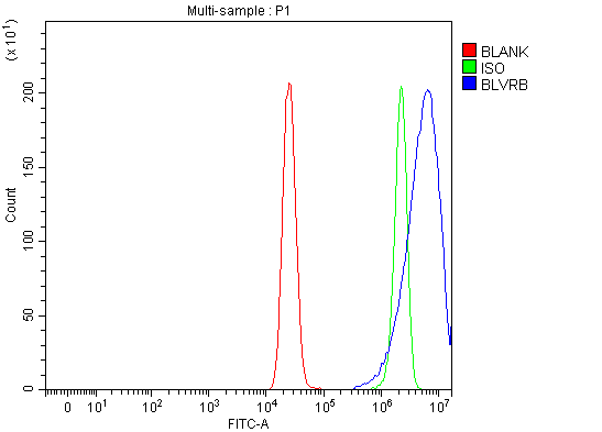  Flow Cytometry analysis of MCF-7 cells using anti-BLVRB antibody (A08072-2)