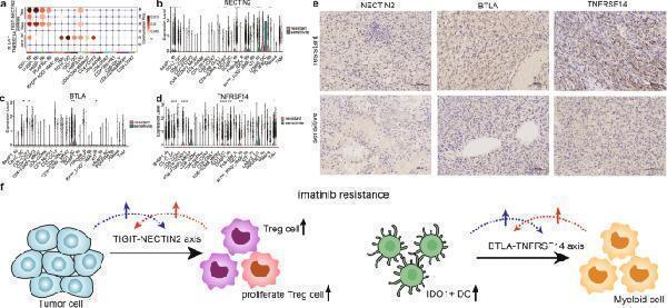 a08081 2 41419_2024_6571_fig6_html