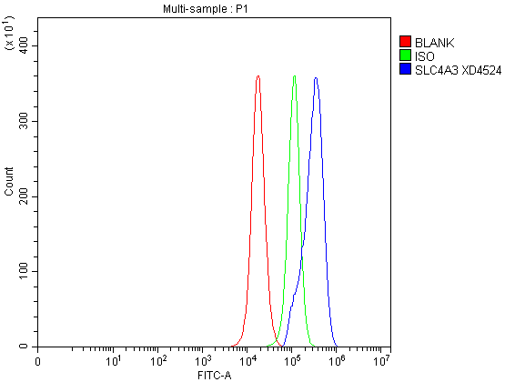 a08092 1 slc4a3 primary antibodies fcm testing 1