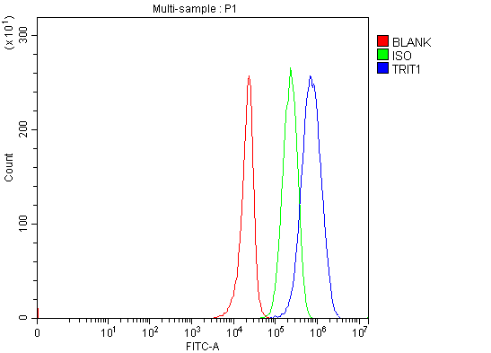  Flow Cytometry analysis of 293T cells using anti-IPT/TRIT1 antibody (A08098)