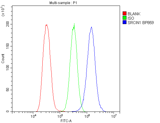 Flow Cytometry analysis of U20S cells using anti-SRCIN1 antibody (A08110-1). Overlay histogram showing U20S cells stained with A08110-1 (Blue line).The cells were blocked with 10% normal goat serum. And then incubated with rabbit anti-SRCIN1 Antibody (A08110-1,1μg/1x106 cells) for 30 min at 20°C. DyLight®488 conjugated goat anti-rabbit IgG (BA1127, 5-10μg/1x106 cells) was used as secondary antibody for 30 minutes at 20°C. Isotype control antibody (Green line) was rabbit IgG (1μg/1x106) used under the same conditions. Unlabelled sample (Red line) was also used as a control.