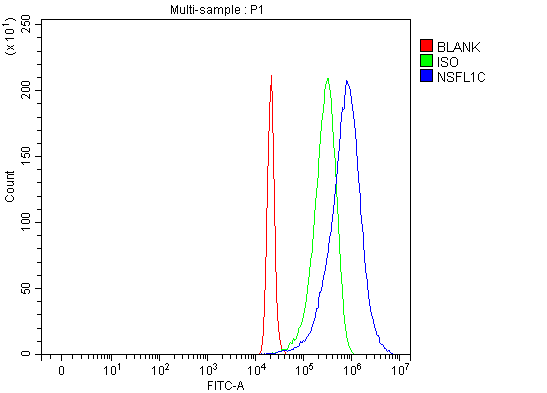  Flow Cytometry analysis of 293T cells using anti-NSFL1C antibody (A08116-1)