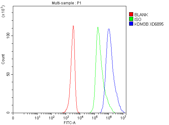 a08117 1 kdm3b primary antibodies fcm testing 1