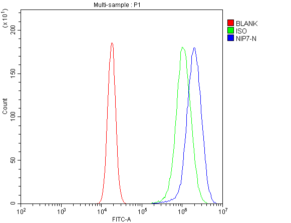  Flow Cytometry analysis of 293T cells using anti-NIP7 antibody (A08120-2)