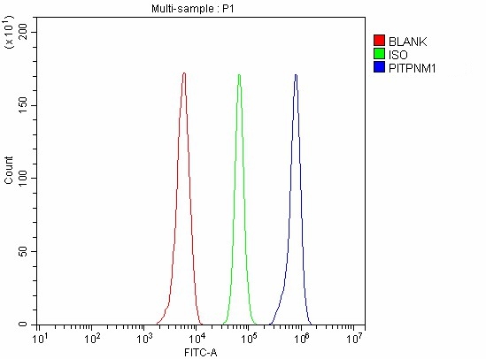 a08128 2 pitpnm1 primary antibodies fcm testing 2