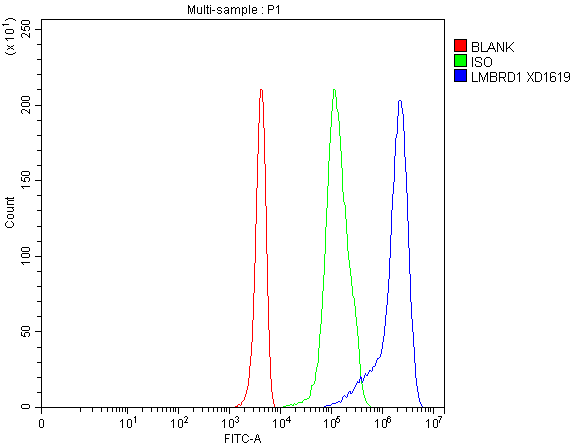  Flow Cytometry analysis of 293T cells using anti-LMBRD1 antibody (A08163-1)