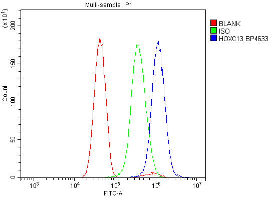 a08167 1 hoxc13 primary antibodies fcm testing 3
