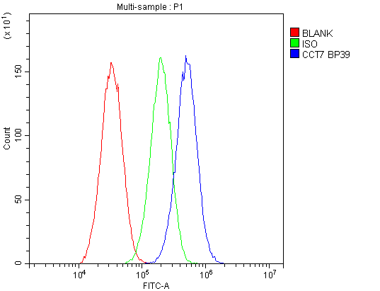  Flow Cytometry analysis of HepG2 cells using anti-CCT7 antibody (A08169-2)