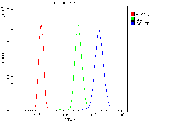 a08185 3 gchfr primary antibodies fcm testing 6