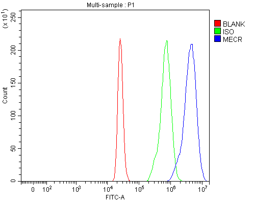 a08189 1 mecr primary antibodies fcm testing 5