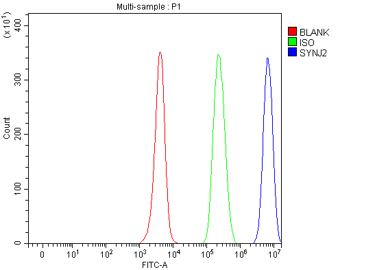  Flow Cytometry analysis of JK cells using anti-SYNJ2 antibody (A08206-1)