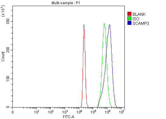 a08215 1 scamp3 primary antibodies fcm testing 17