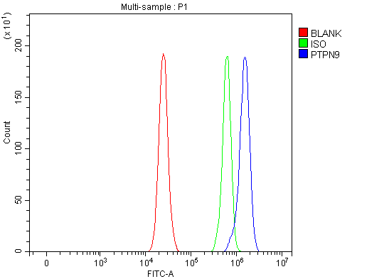  Flow Cytometry analysis of RT4 cells using anti-PTPN9 antibody (A08233-1)