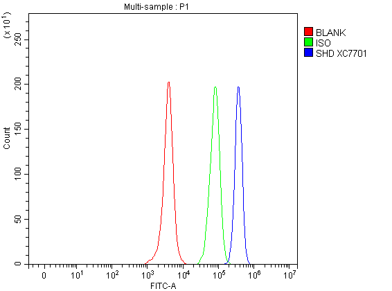 a08238 1 shd primary antibodies fcm testing 1