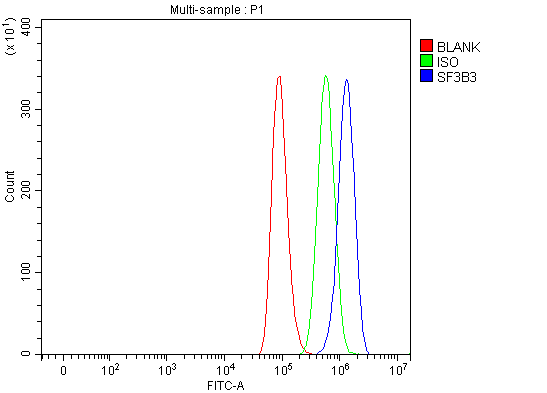 a08240 3 sf3b3 primary antibodies fcm testing 20