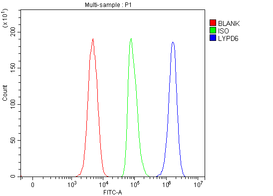  Flow Cytometry analysis of SH-SY5Y cells using anti-LYPD6 antibody (A08243-1)