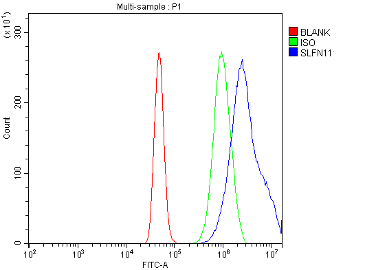 a08259 slfn11 primary antibodies fcm testing 4