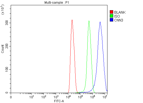 a08267 4 cnn3 primary antibodies fcm testing 2
