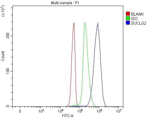a08268 1 suclg2 primary antibodies fcm testing 14_1