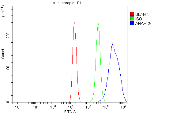 a08280 2 anapc5 primary antibodies fcm testing 3